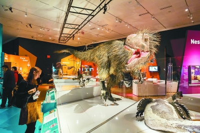 美國(guó)舉辦恐龍展 遼寧化石恐龍化石和模型(圖1)