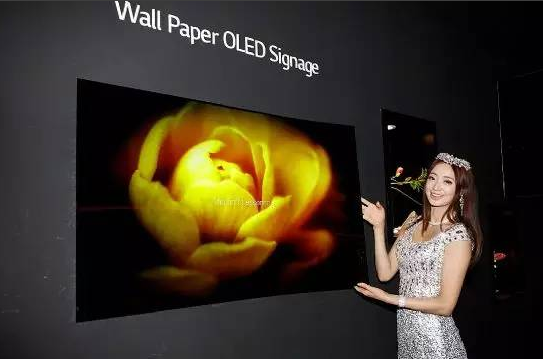 IFC展會(huì)DLP及OLED表現(xiàn)亮眼 LED感到威脅了嗎(圖7)