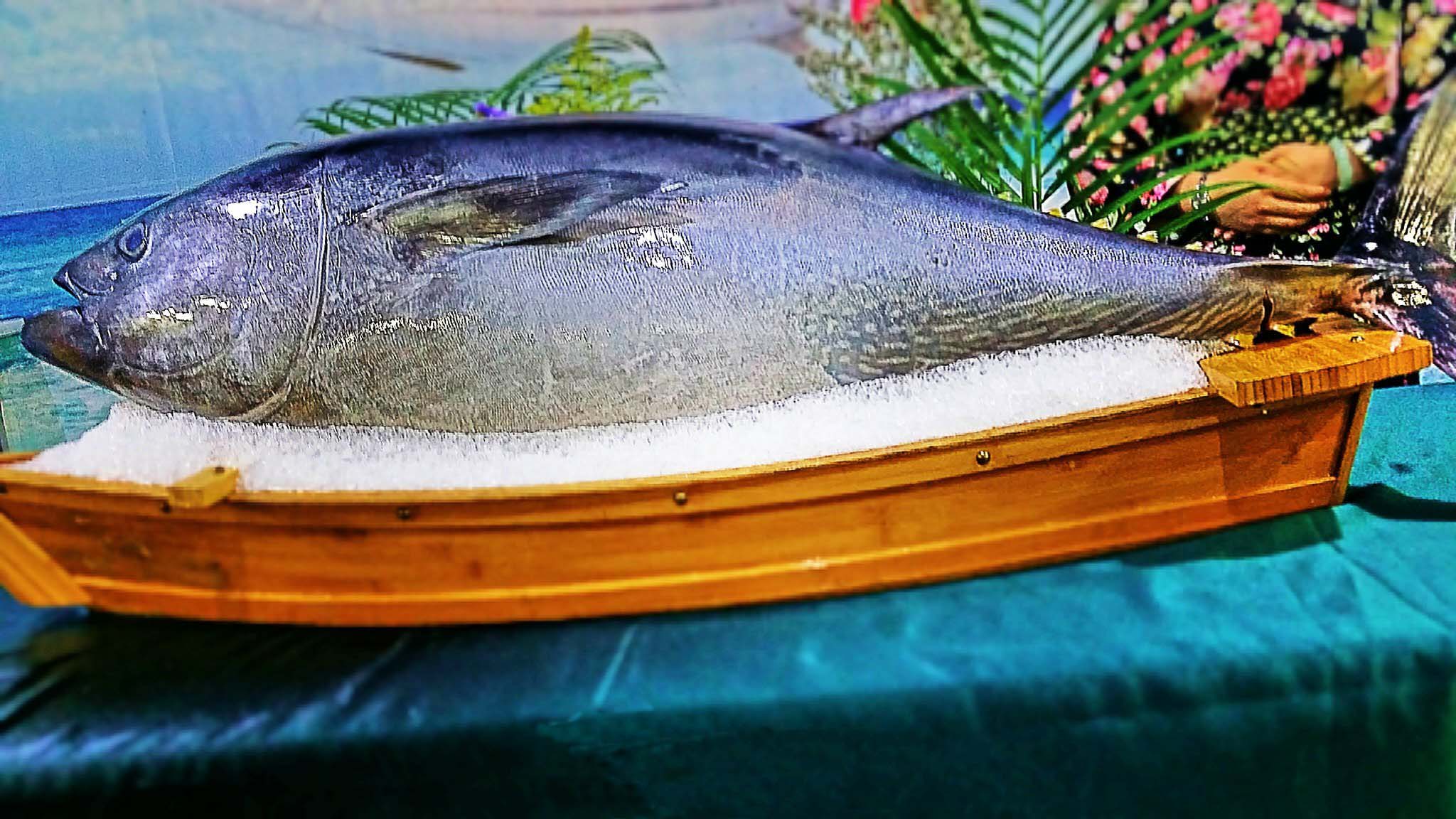 “海鮮盛宴”將在廈門舉行  國(guó)際海鮮展(圖1)